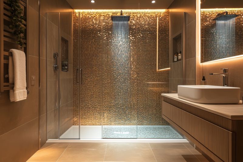 Walk-In Shower Designs